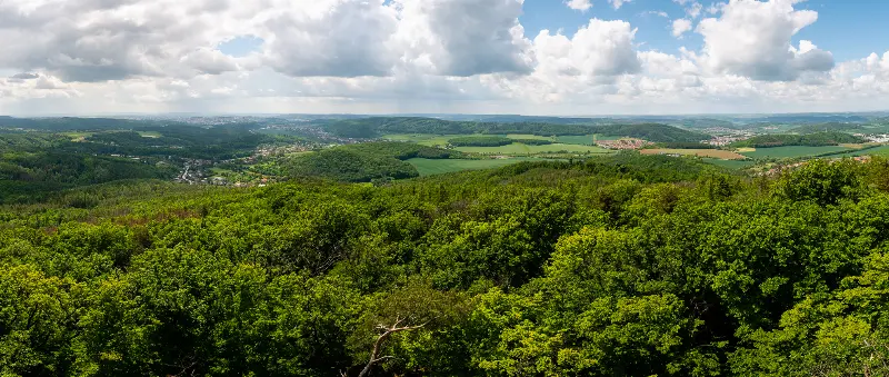 Výhled z rozhledny (na Brno)