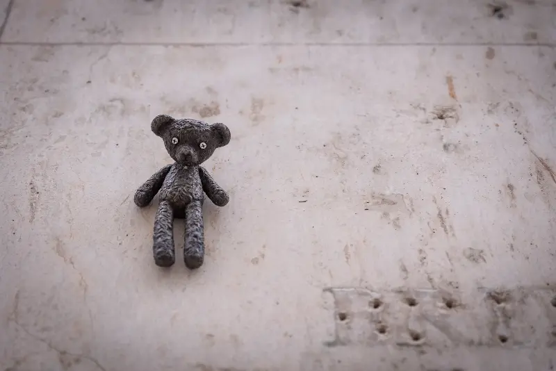 Teddy