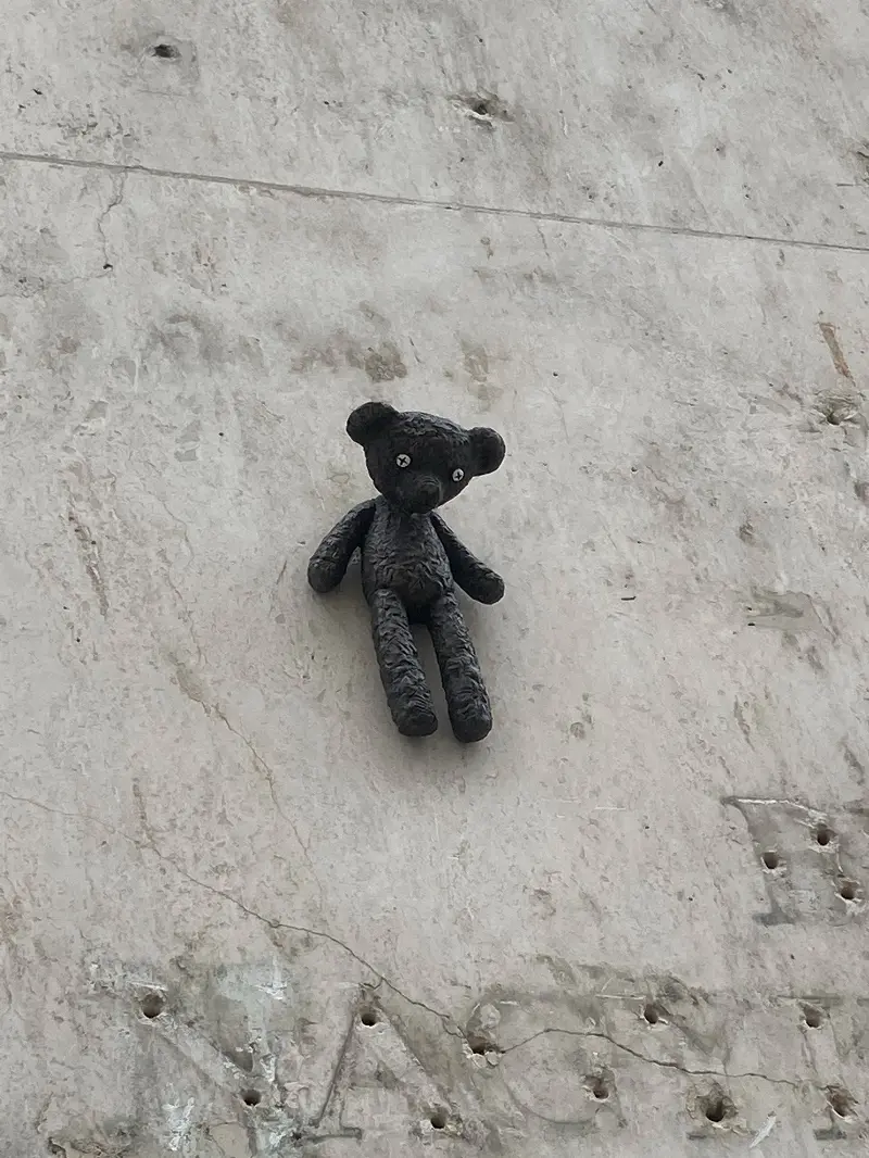 Teddy