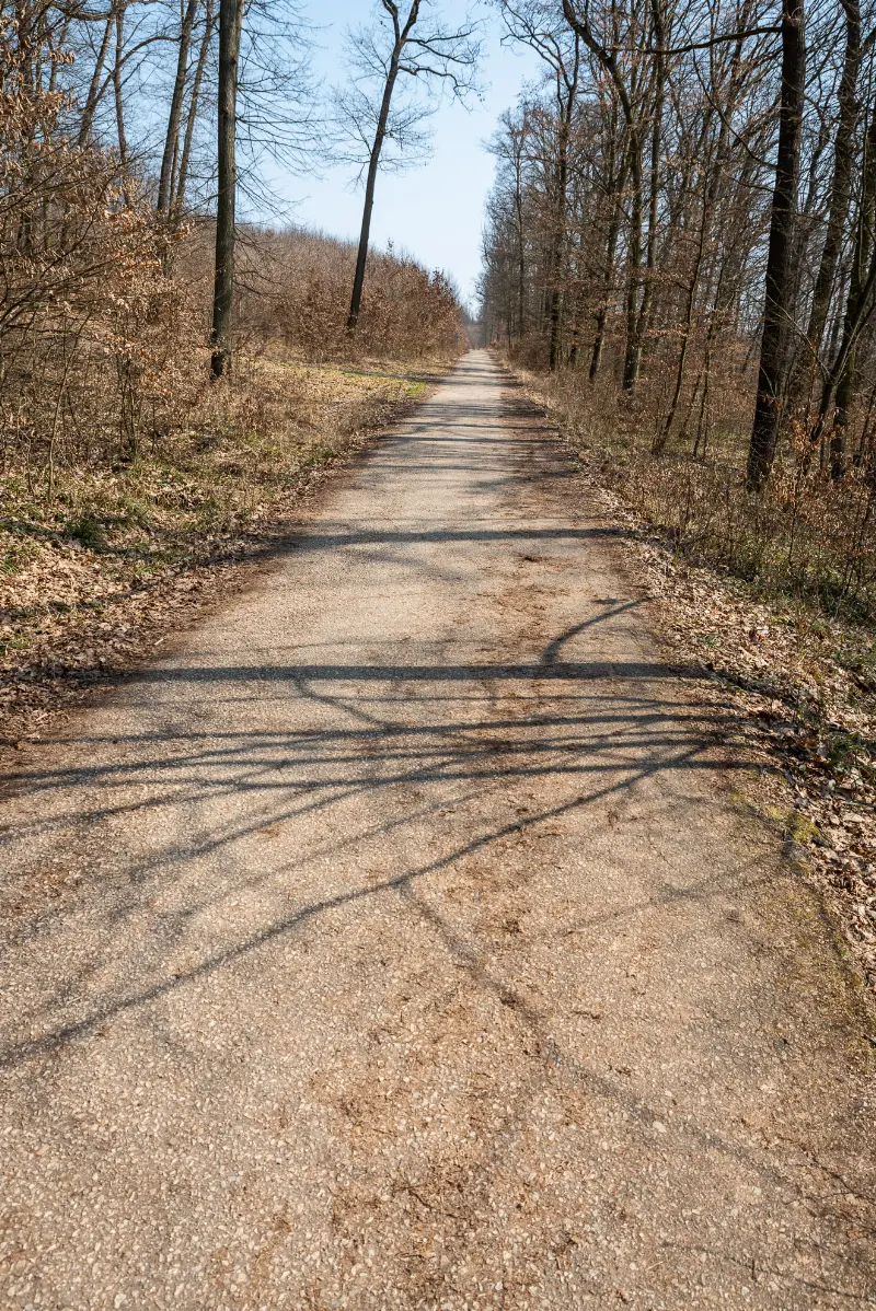 Červená stezka lesem