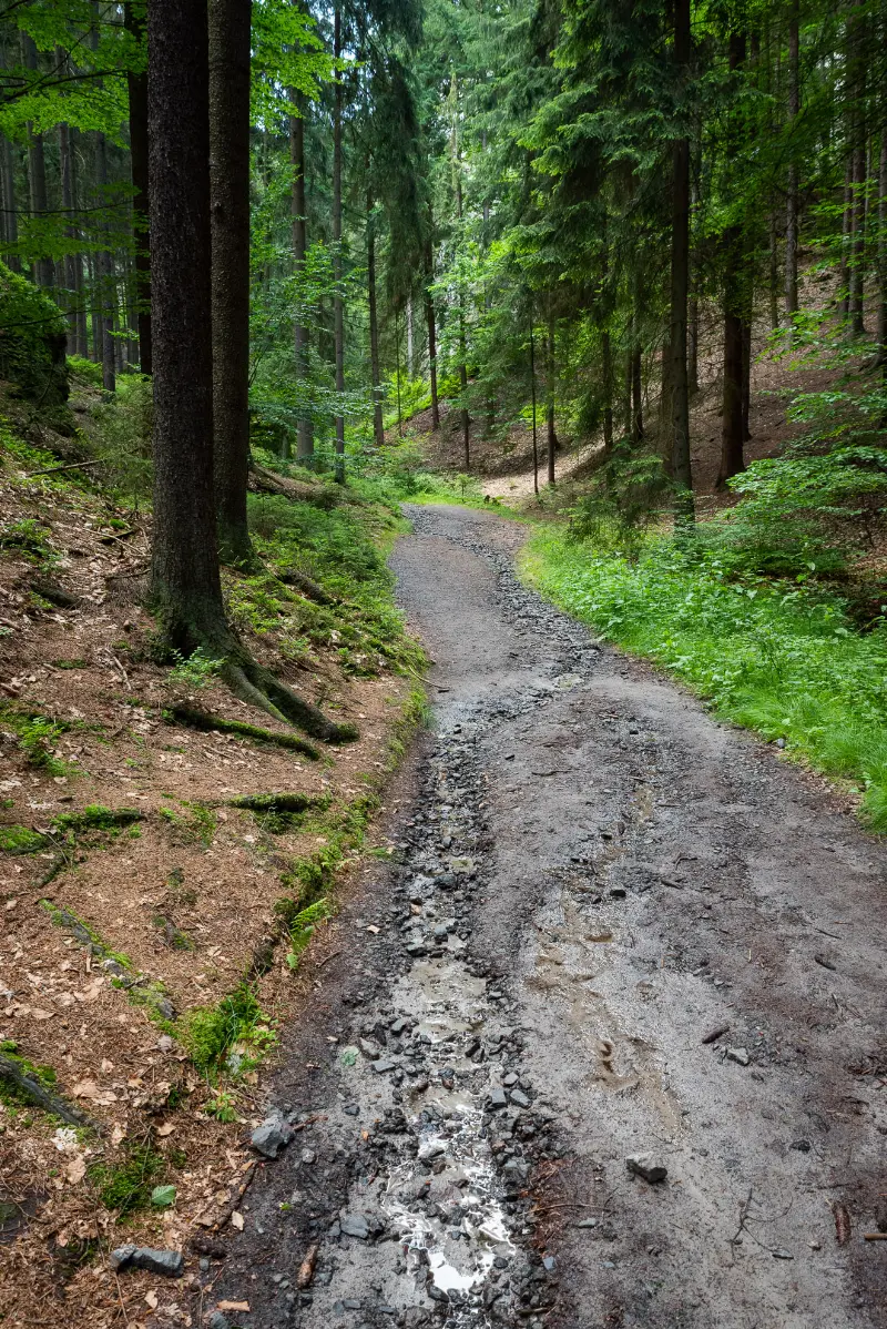 Horší cesta na vyhlídku