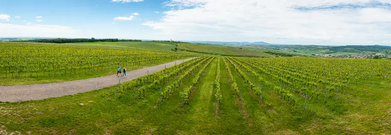 Panoramatický výhled