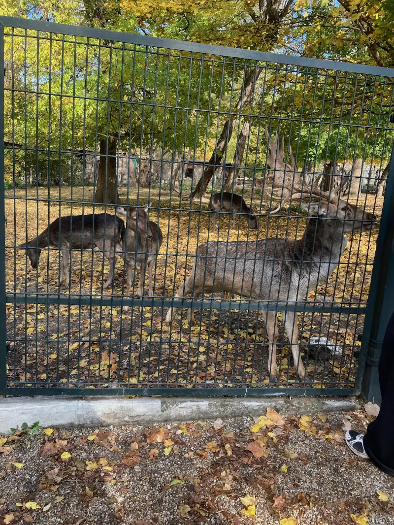 Mini zoo