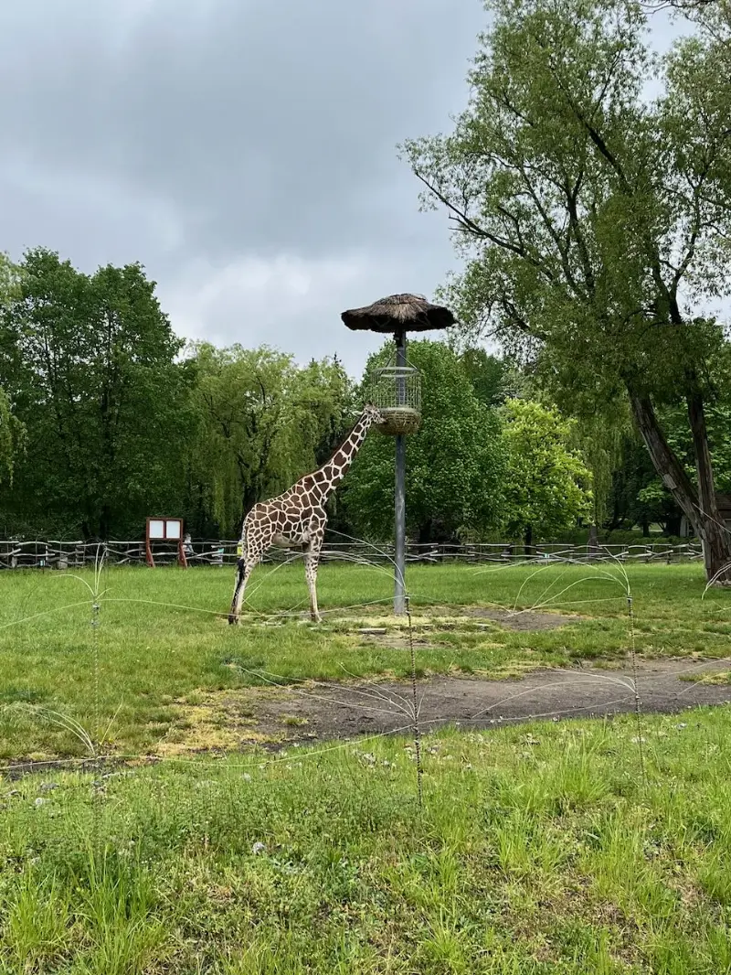 ZOO je obrovská