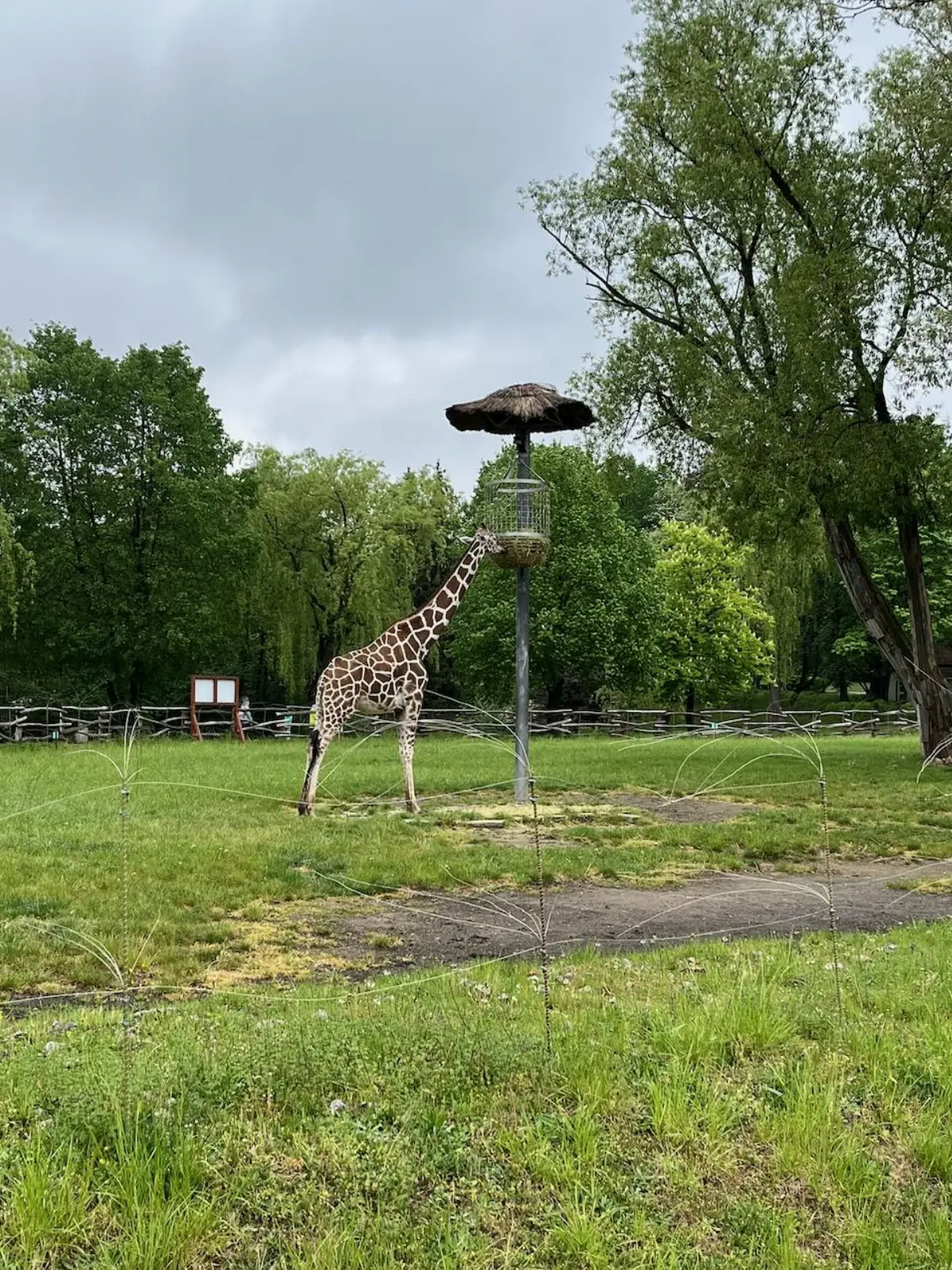 ZOO je obrovská