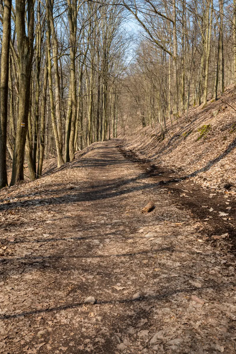 Cesta od studánky