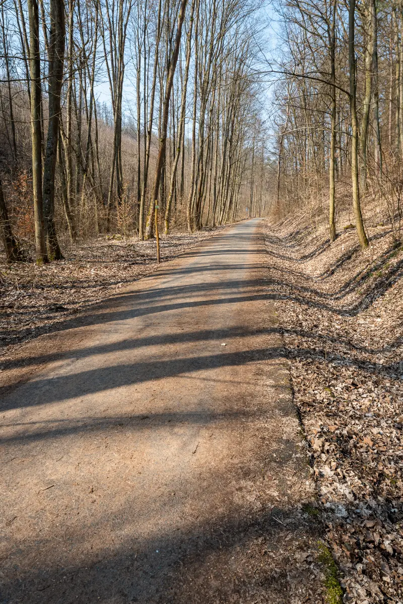 Cesta ke studánce