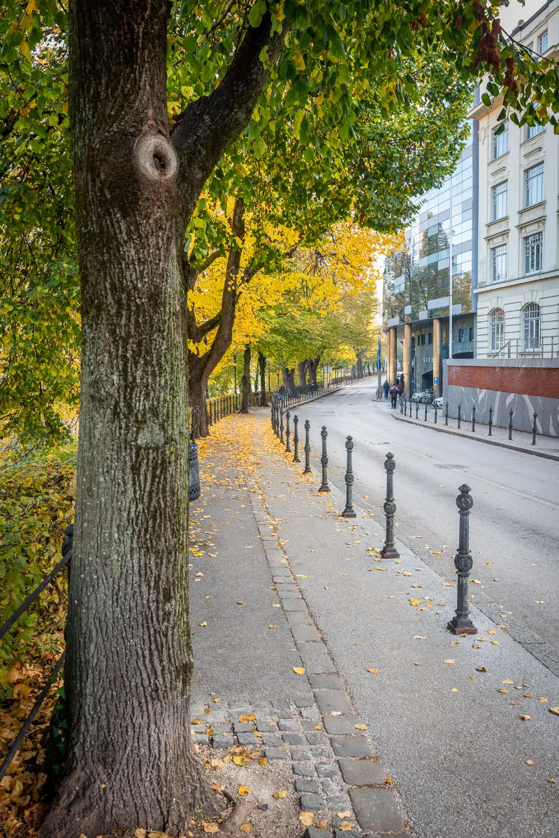 Podzimní ulice v Lublani